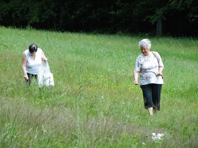 ScholaInNatura Fotogaleria