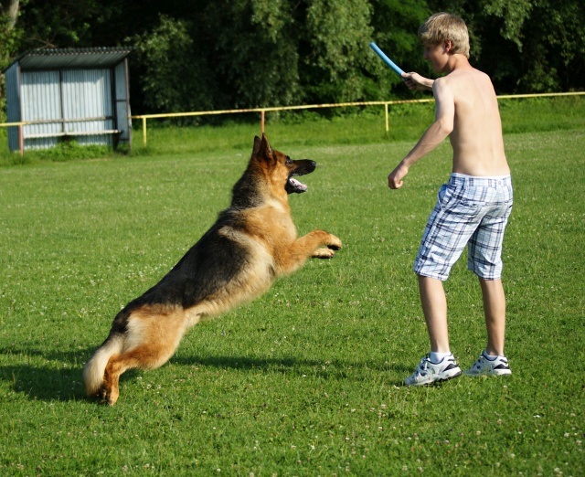 ScholaInNatura Fotogaleria