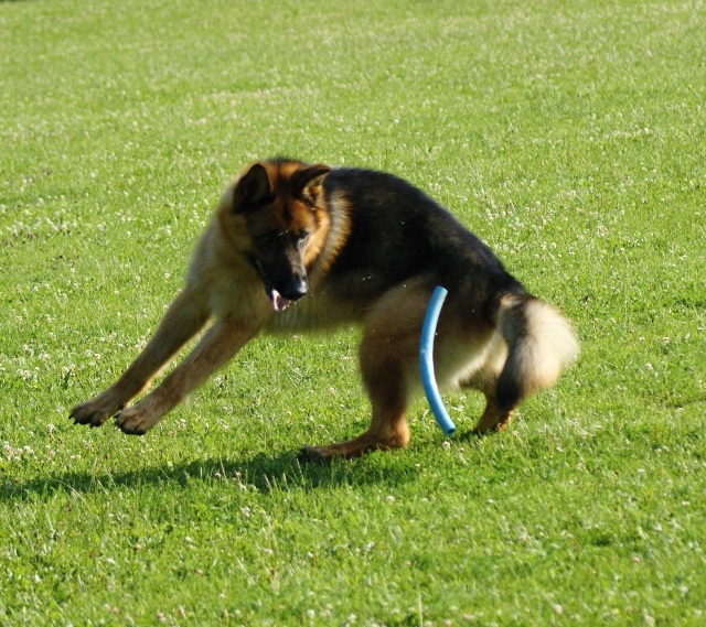 ScholaInNatura Fotogaleria