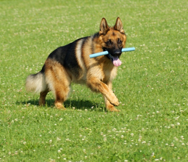 ScholaInNatura Fotogaleria