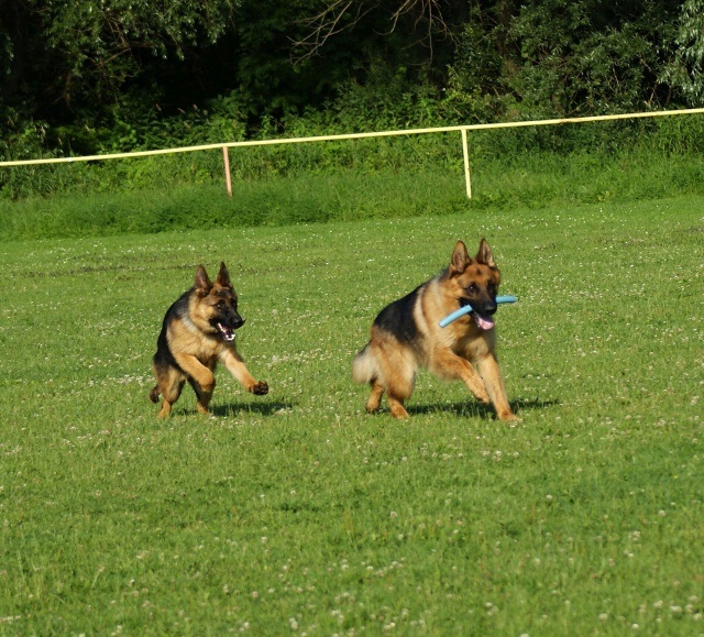 ScholaInNatura Fotogaleria