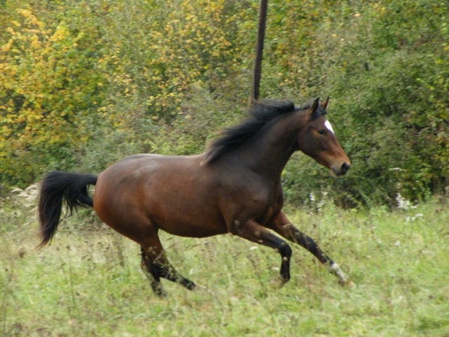 ScholaInNatura Fotogaleria