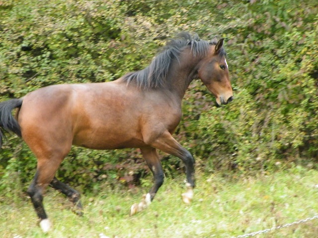 ScholaInNatura Fotogaleria