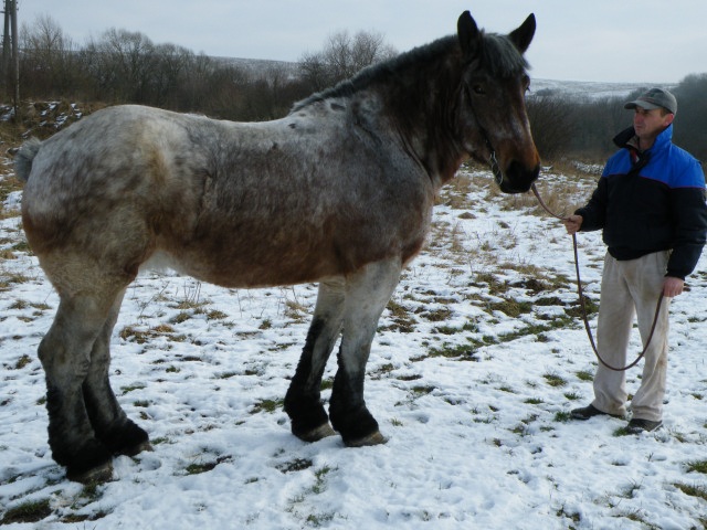 ScholaInNatura Fotogaleria