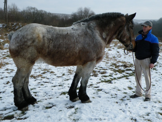 ScholaInNatura Fotogaleria