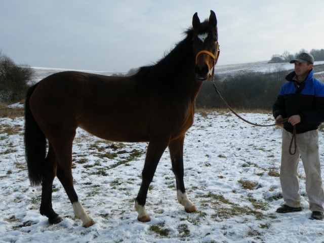 ScholaInNatura Fotogaleria