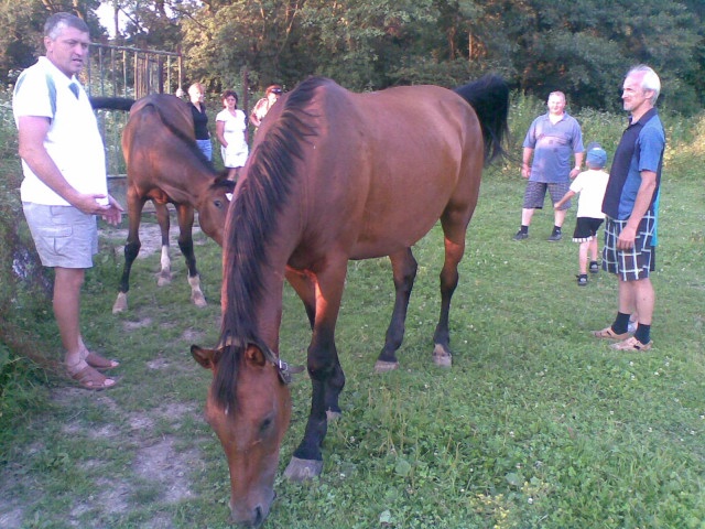 ScholaInNatura Fotogaleria