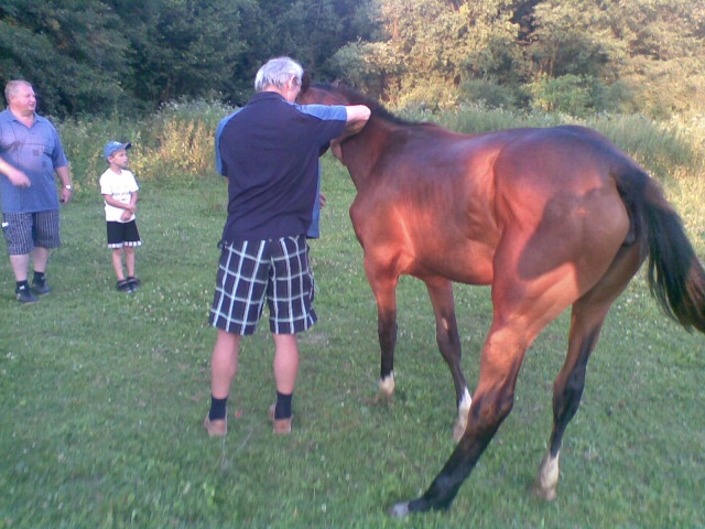 ScholaInNatura Fotogaleria