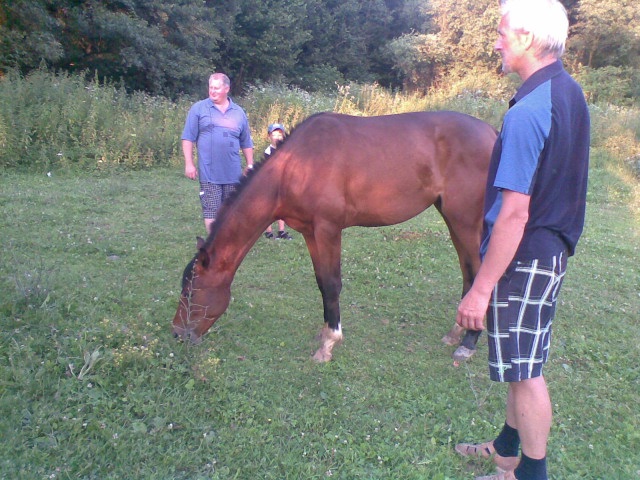 ScholaInNatura Fotogaleria