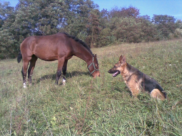 ScholaInNatura Fotogaleria