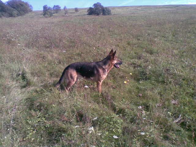 ScholaInNatura Fotogaleria