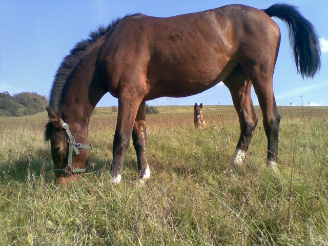 ScholaInNatura Fotogaleria