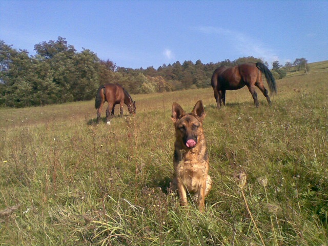 ScholaInNatura Fotogaleria