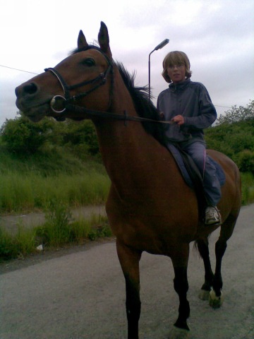 ScholaInNatura Fotogaleria