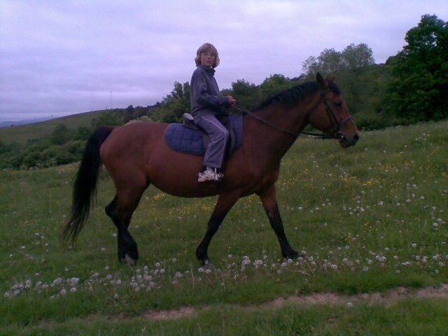 ScholaInNatura Fotogaleria