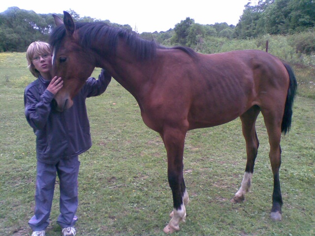 ScholaInNatura Fotogaleria