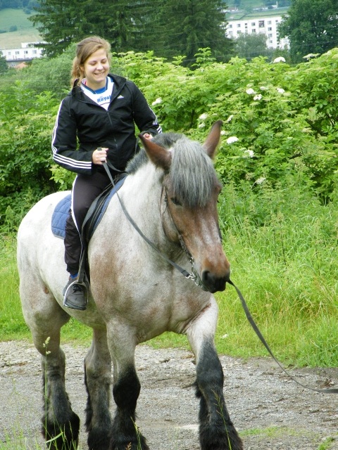 ScholaInNatura Fotogaleria