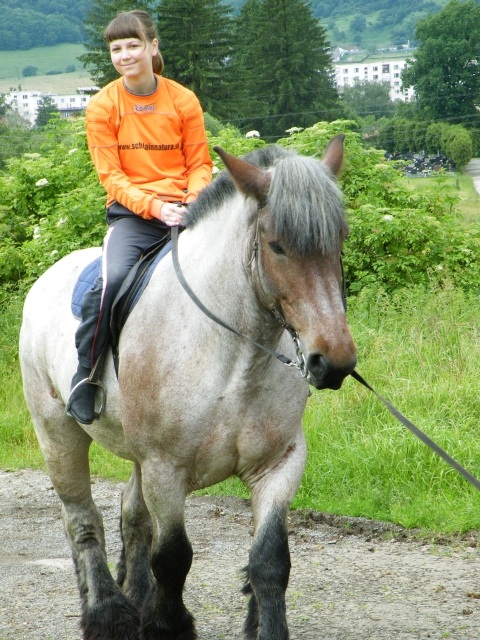 ScholaInNatura Fotogaleria
