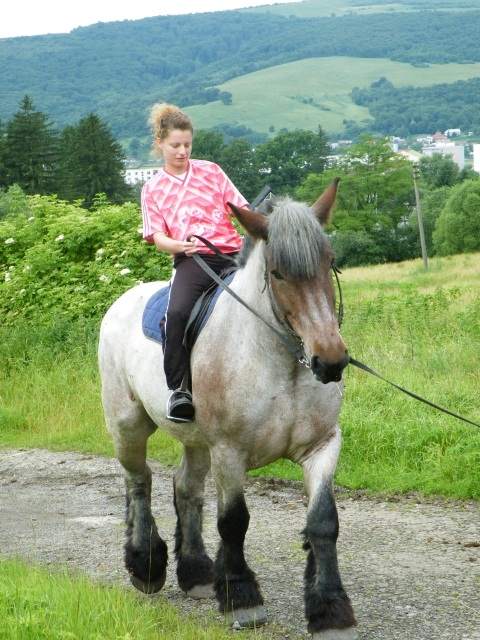 ScholaInNatura Fotogaleria