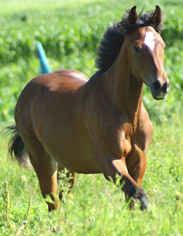 ScholaInNatura Fotogaleria