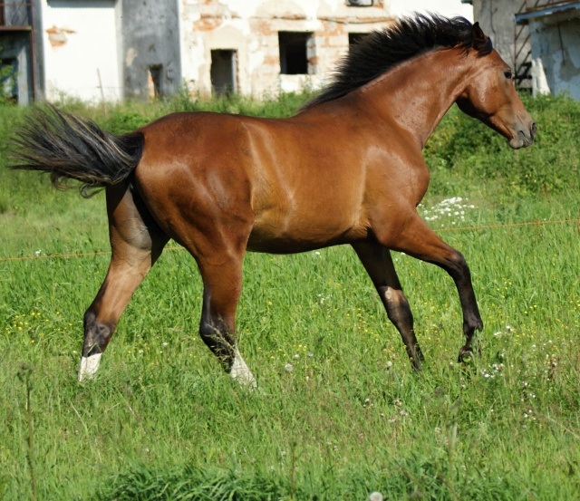 ScholaInNatura Fotogaleria