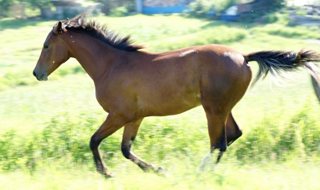 ScholaInNatura Fotogaleria