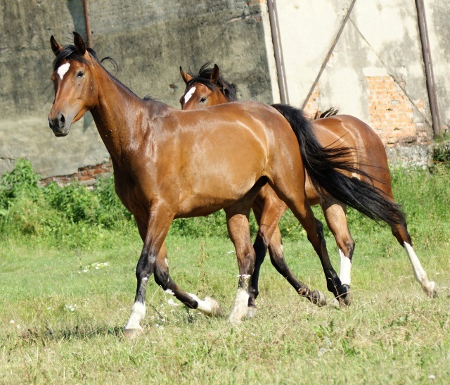 ScholaInNatura Fotogaleria