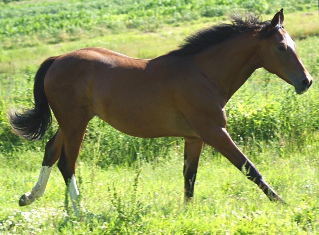 ScholaInNatura Fotogaleria
