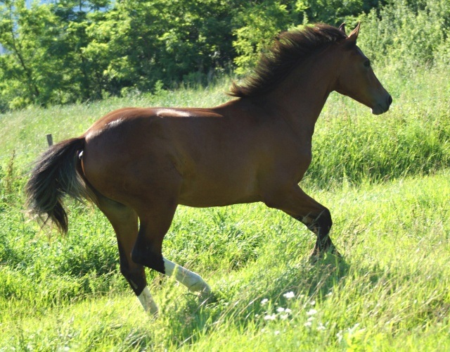 ScholaInNatura Fotogaleria