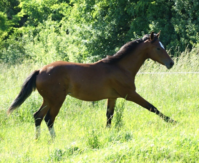 ScholaInNatura Fotogaleria