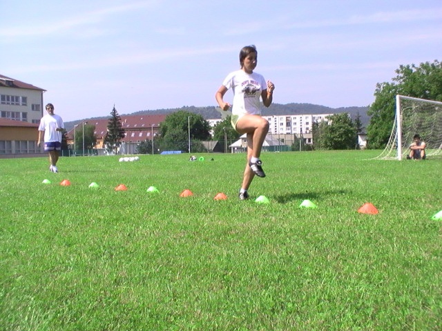 ScholaInNatura Fotogaleria