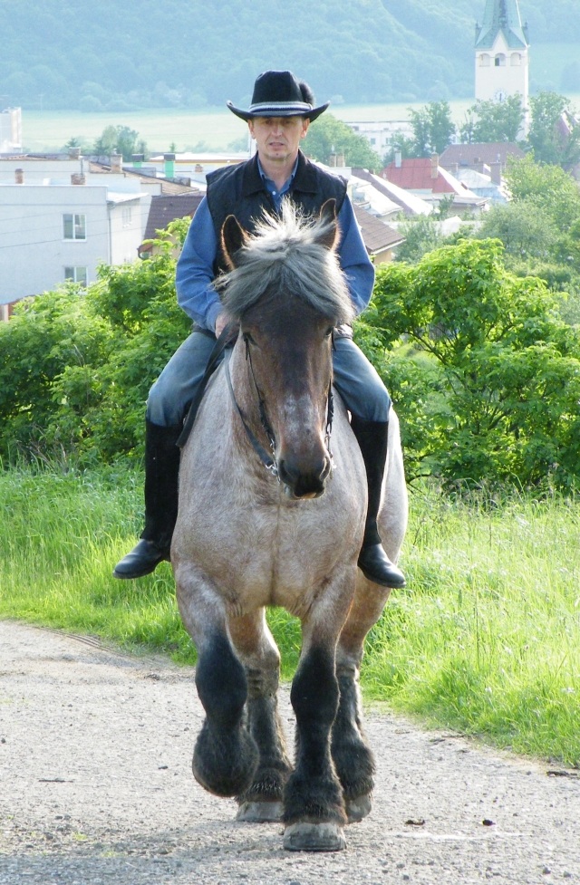 ScholaInNatura Fotogaleria