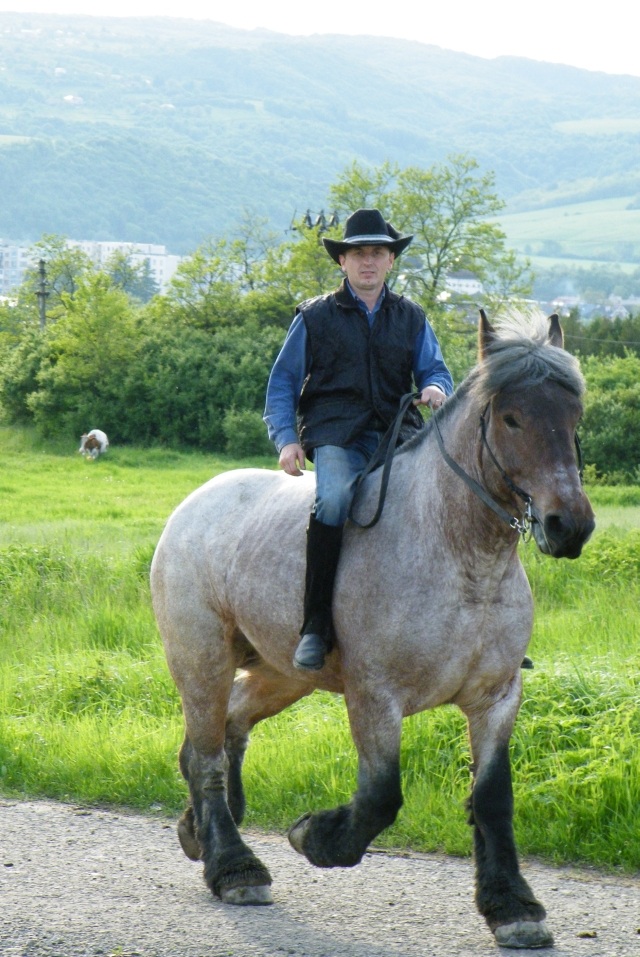 ScholaInNatura Fotogaleria