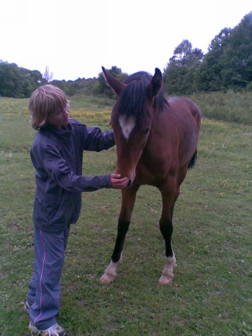 ScholaInNatura Fotogaleria