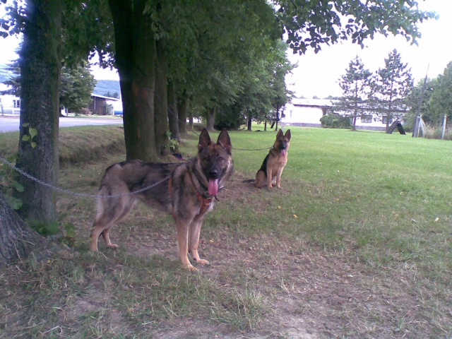 ScholaInNatura Fotogaleria