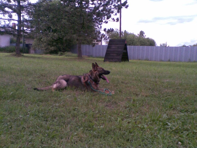 ScholaInNatura Fotogaleria