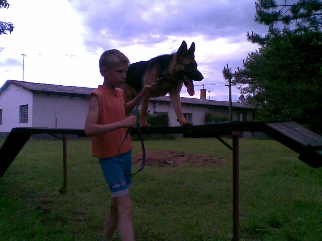 ScholaInNatura Fotogaleria