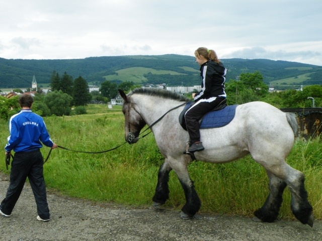 ScholaInNatura Fotogaleria