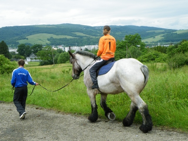 ScholaInNatura Fotogaleria