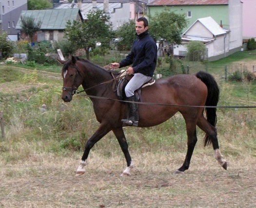 ScholaInNatura Fotogaleria