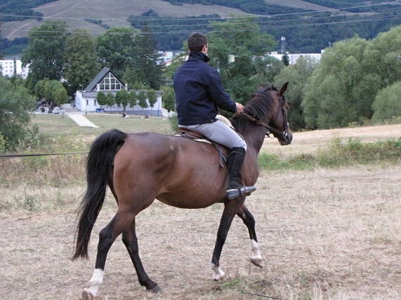 ScholaInNatura Fotogaleria