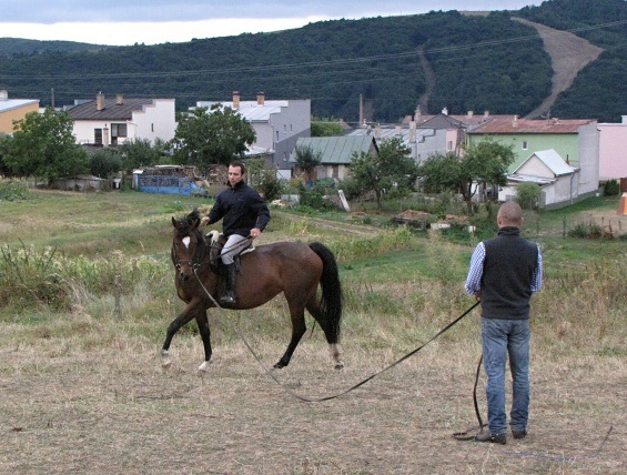 ScholaInNatura Fotogaleria