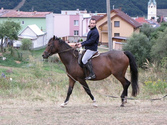 ScholaInNatura Fotogaleria