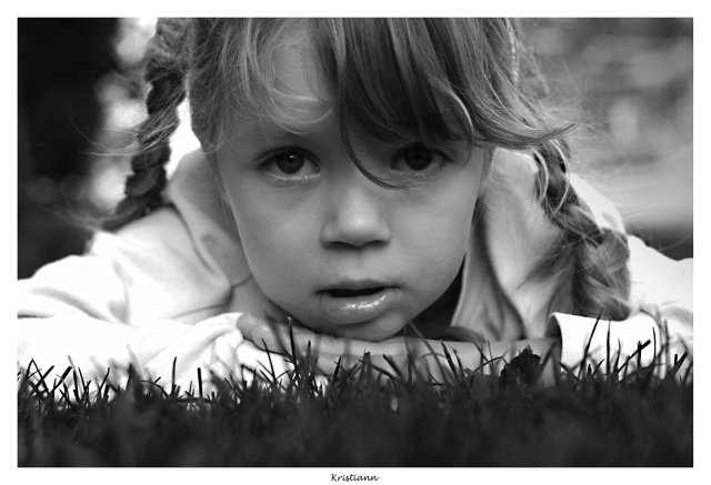 ScholaInNatura Fotogaleria