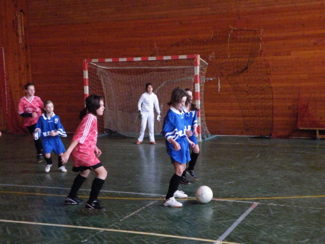 ScholaInNatura Fotogaleria