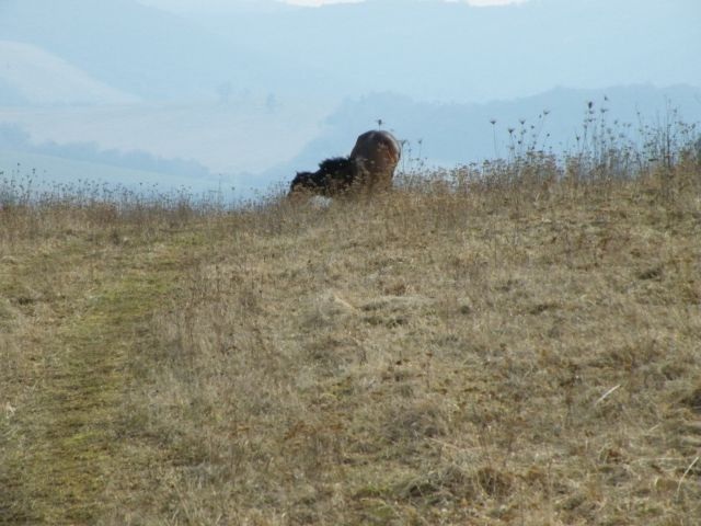 ScholaInNatura Fotogaleria