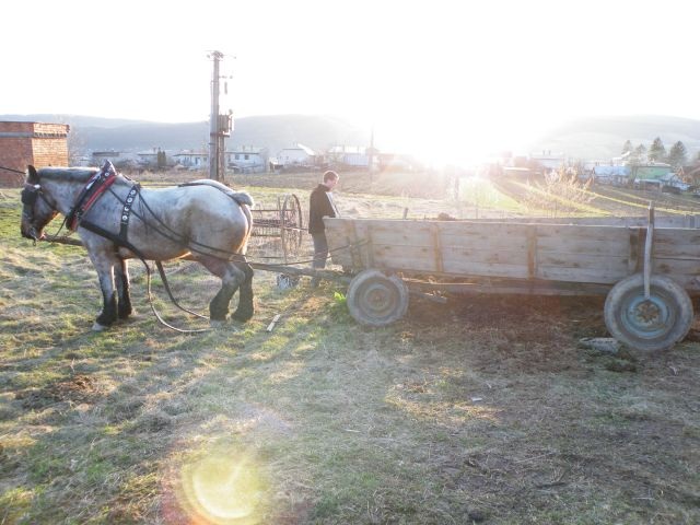 ScholaInNatura Fotogaleria