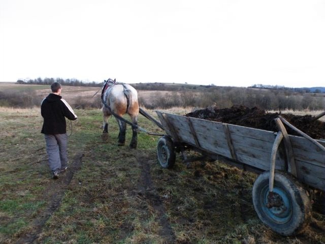 ScholaInNatura Fotogaleria