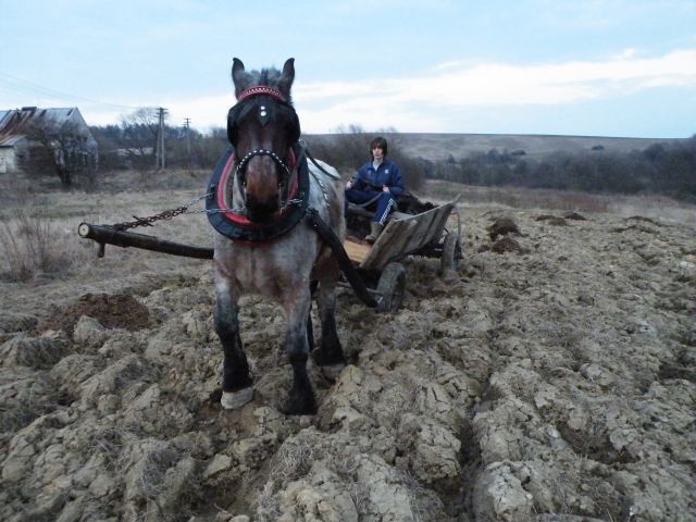 ScholaInNatura Fotogaleria