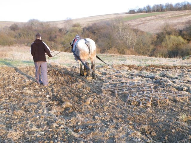 ScholaInNatura Fotogaleria